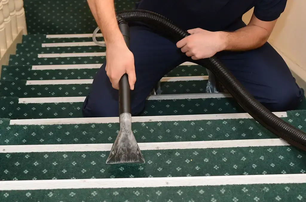 hot water extraction carpet cleaning